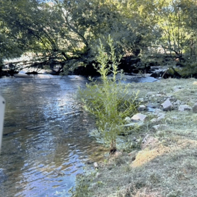 Mytrendyes Underwater Camera